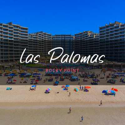 palomas