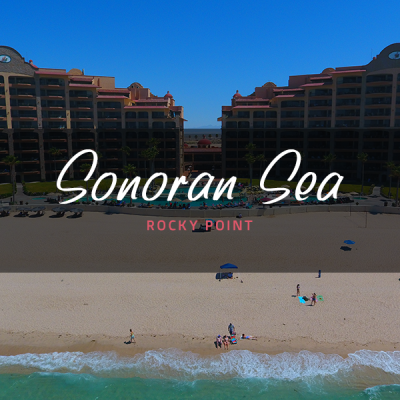 sonoran sea